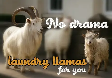 llandudno goats - no drama statement
