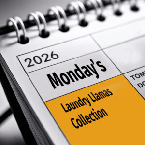 Monday collection day