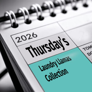 Thursday Collection Day