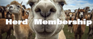 Herd Membership Trial